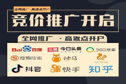 百度推广实战攻略：案例与策略